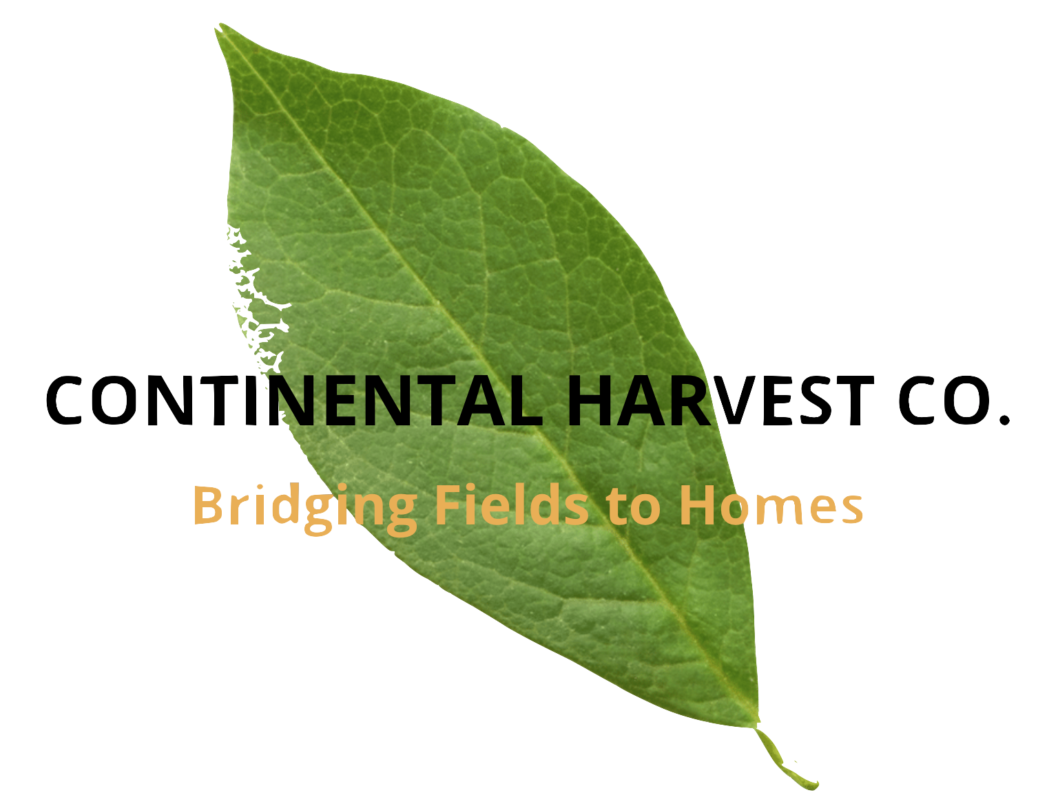 Logo-CHCo